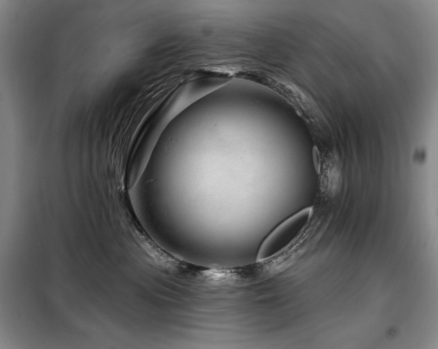 X0000098150477200804171617