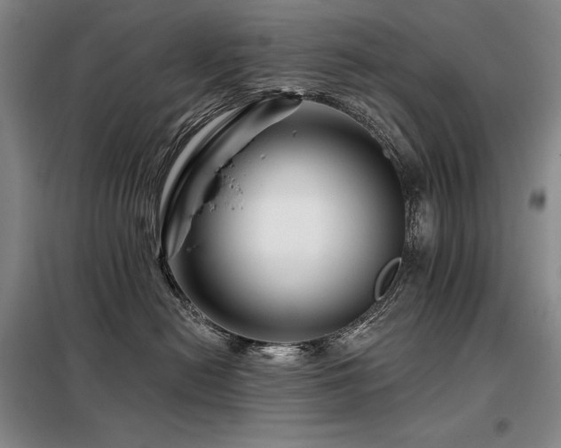 X0000098150478200804171617