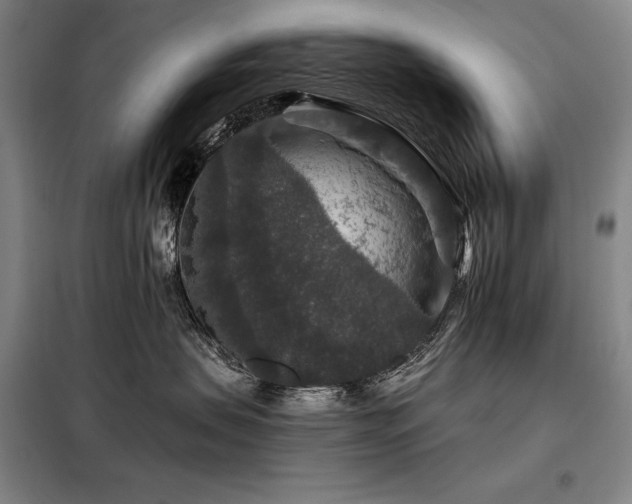 X0000098150479200804171617