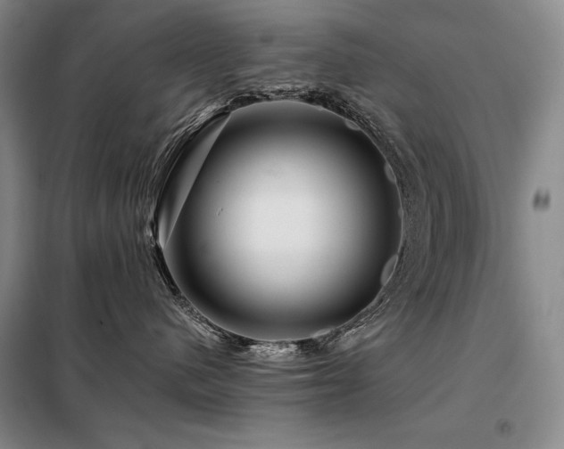 X0000098150480200804171617