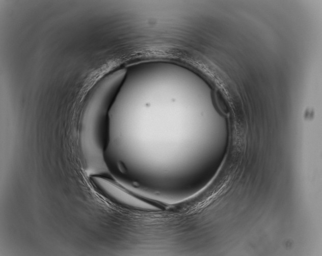 X0000098150481200804171616