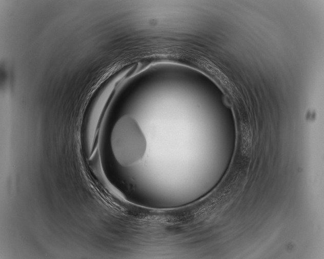 X0000098150482200804171616