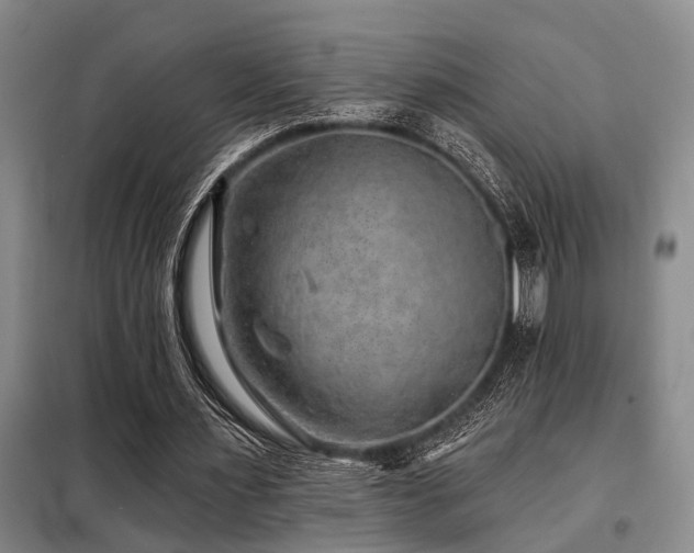 X0000098150483200804171616