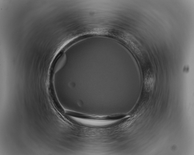 X0000098150484200804171616