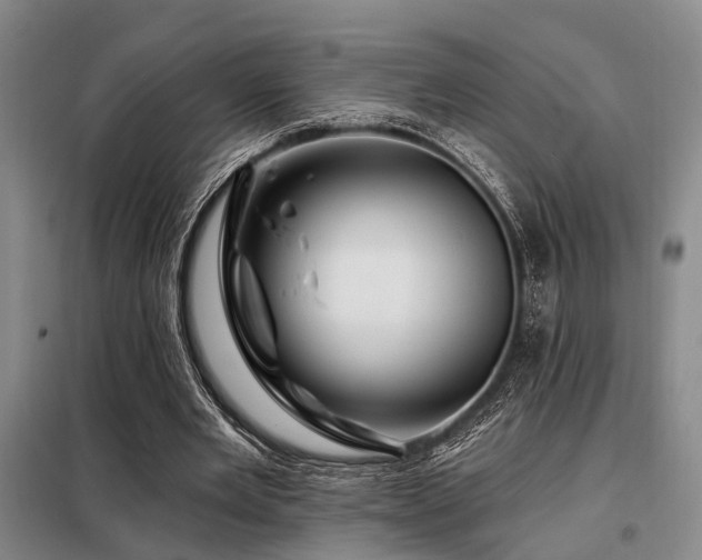 X0000098150485200804171616