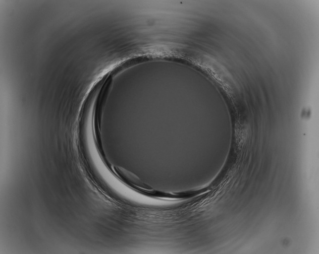 X0000098150488200804171616