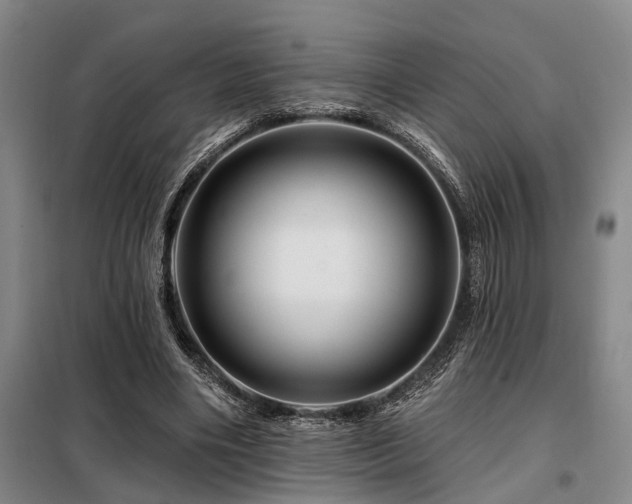 X0000098150490200804171616