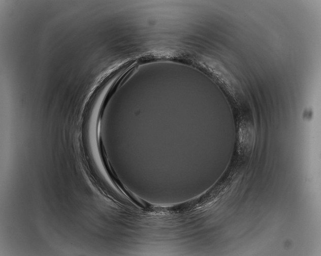 X0000098150492200804171616