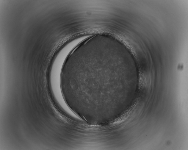 X0000098150493200804171616