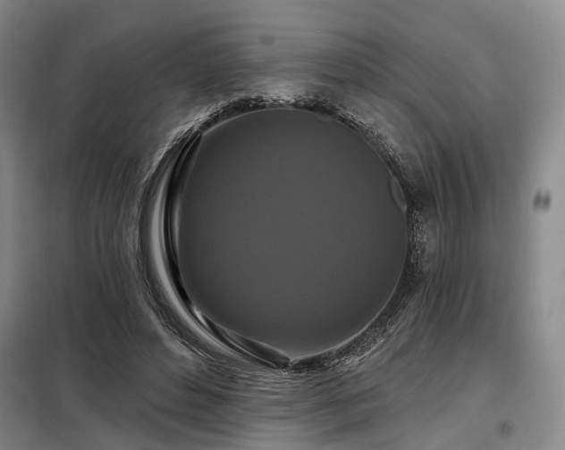 X0000098150496200804171616