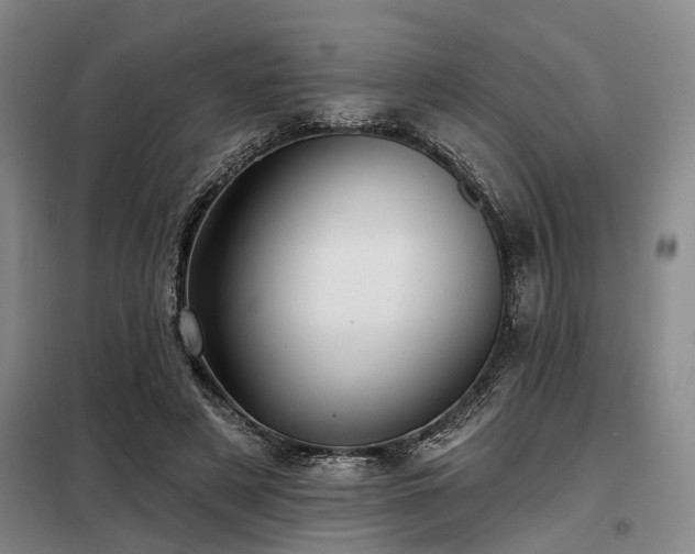 X0000098150497200804171616