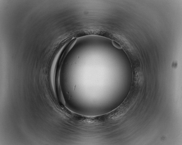 X0000098150498200804171616