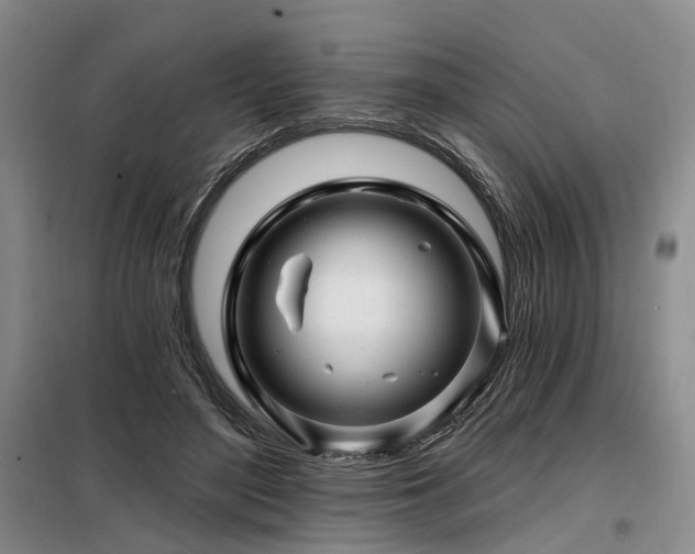 X0000098150500200804171616