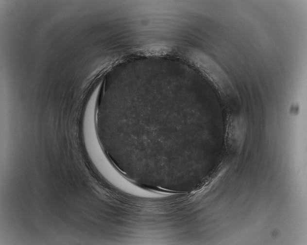 X0000098150501200804171616
