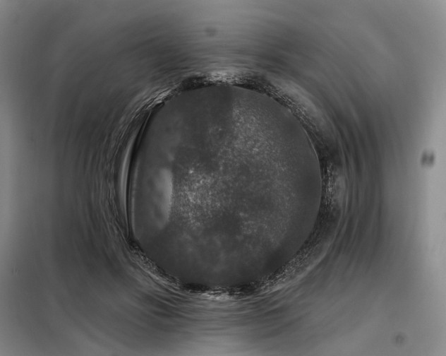 X0000098150502200804171616