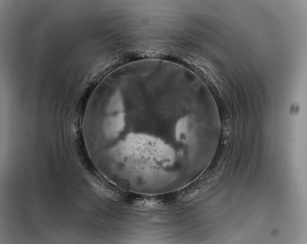 X0000098150503200804171616