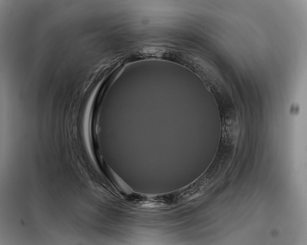 X0000098150504200804171616