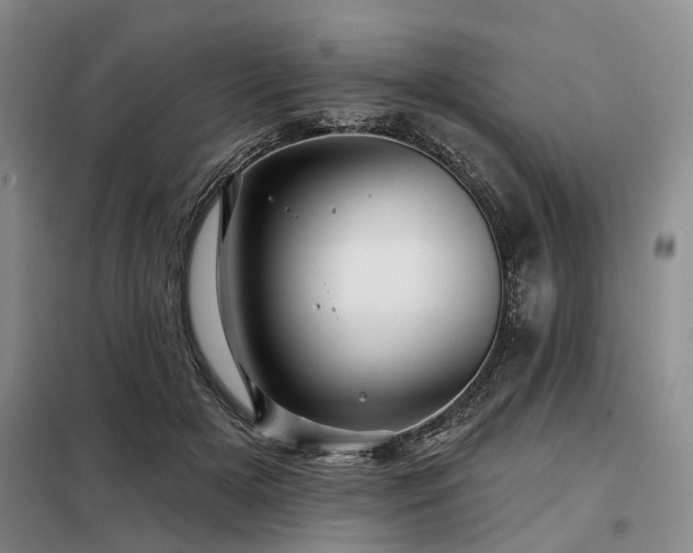 X0000098150505200804171616