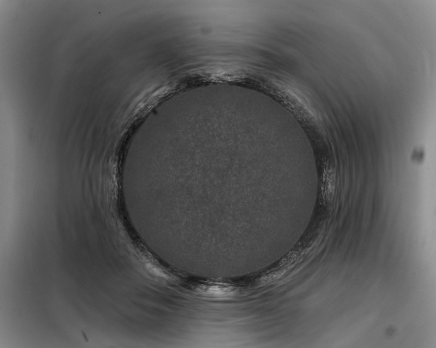 X0000098150506200804171616