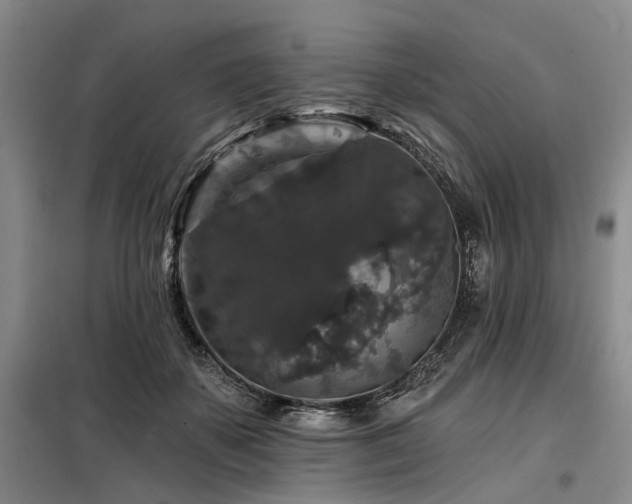 X0000098150507200804171616