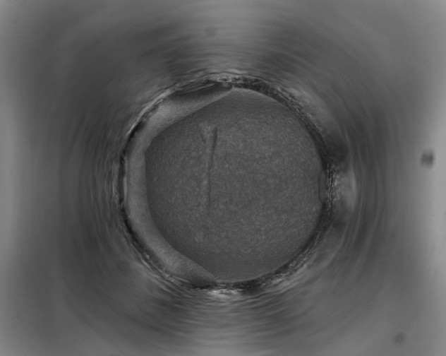 X0000098150508200804171616