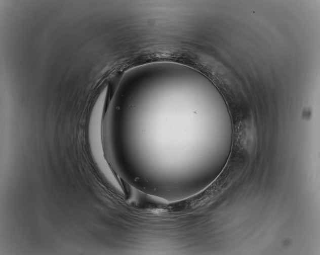 X0000098150509200804171616