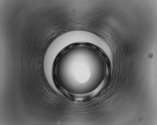 X0000098150511200804171616