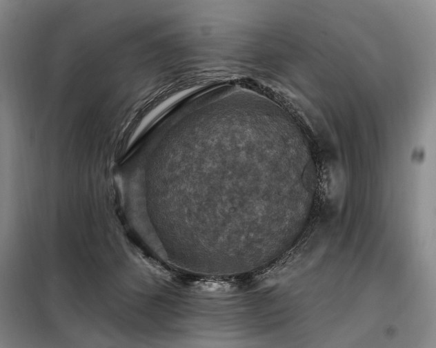 X0000098150512200804171616