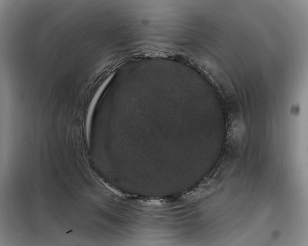 X0000098150513200804171616