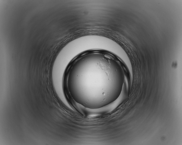 X0000098150514200804171616