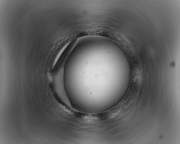 X0000098150515200804171616