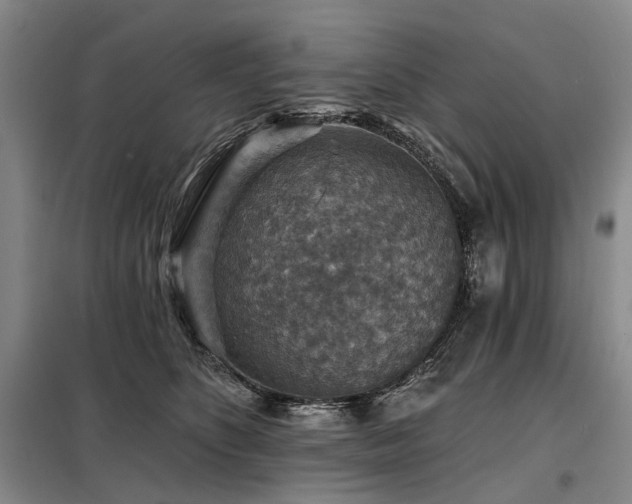 X0000098150516200804171616