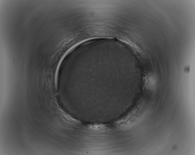 X0000098150517200804171616