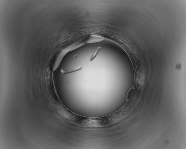X0000098150518200804171616