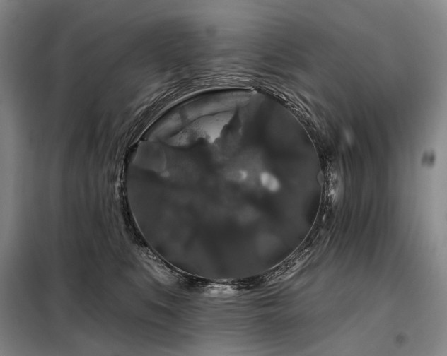 X0000098150519200804171616