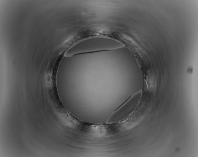 X0000098150520200804171616