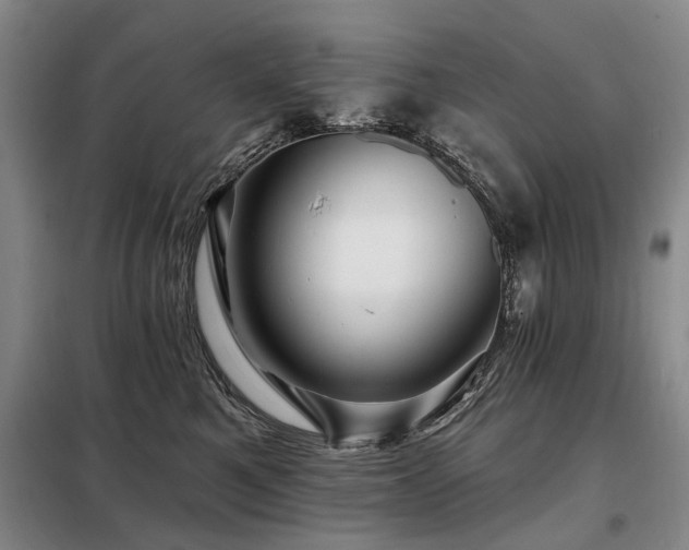 X0000098150521200804171616