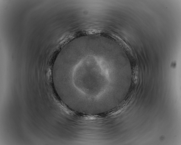 X0000098150523200804171616