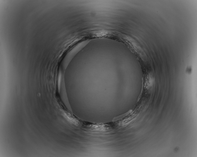 X0000098150524200804171616