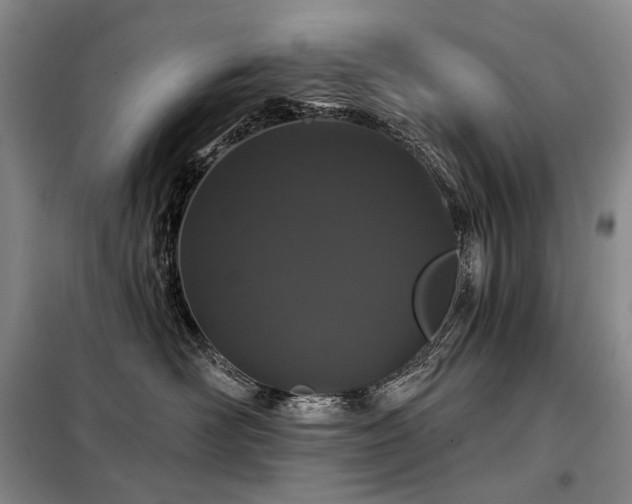 X0000098150526200804171616