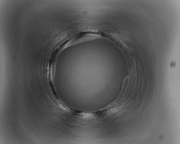 X0000098150528200804171616
