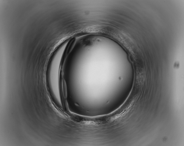 X0000098150530200804171615