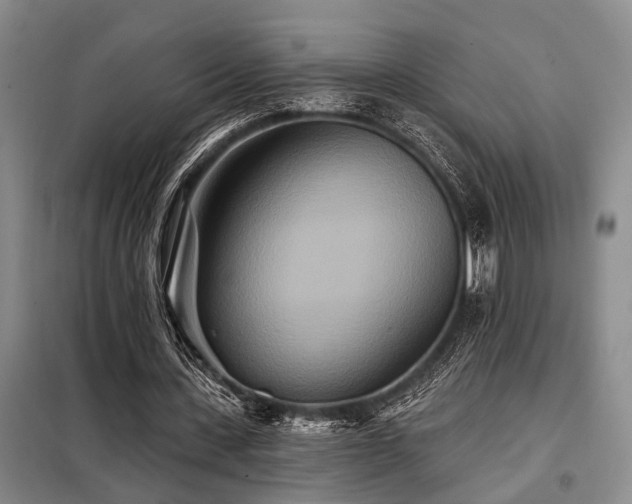 X0000098150531200804171615