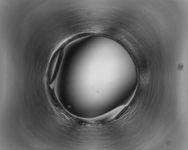 X0000098150532200804171615