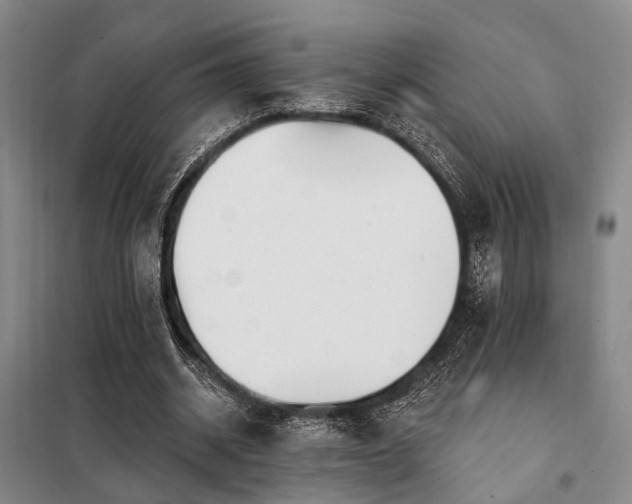 X0000098150534200804171615