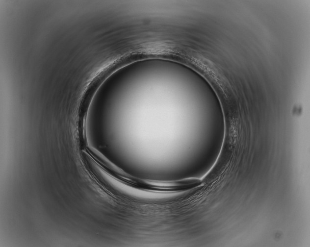 X0000098150535200804171615
