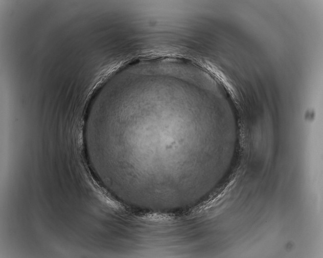 X0000098150537200804171615