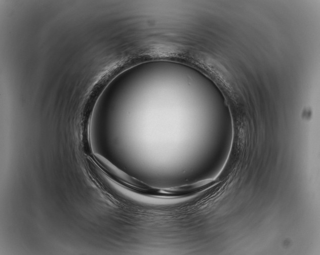 X0000098150539200804171615