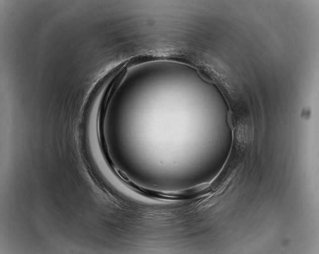 X0000098150540200804171615