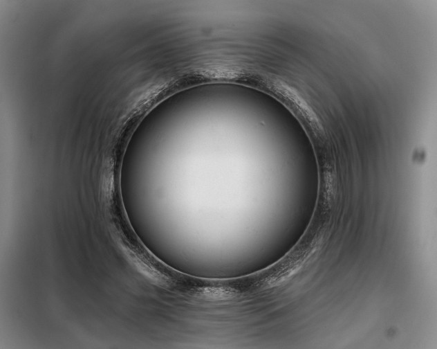 X0000098150541200804171615
